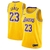 REGATA LOS ANGELES LAKERS #23 ICON EDITION 22/23