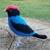 Pássaro Tangará 3D na internet