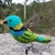 Pássaro Saíra-sete-cores 3D - comprar online