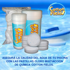 Pastillas Cloro Multi Accion 50 Gr Pack Por 500g - Premium - tienda online