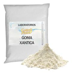 Goma Xantica Industrial Tecnica X 500g - Rhodopol 23