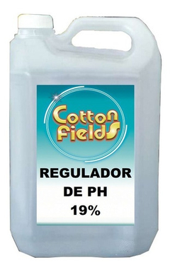 Regulador De Ph 19% Piscina Pileta - Desincrustante X 5 Lts