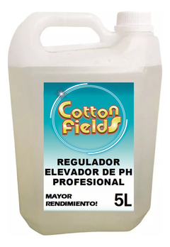 Regulador Elevador Ph Mas Liquido Profesional X 5l - Pileta