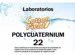 Policuaternium 22 - Cosmetica - Cabello - Uñas X 250gr