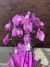 Orquídea Phalaenopsis - loja online