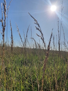 Banner de la categoría Campo argentino