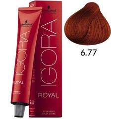 Schwarzkopf Professional Igora Royal 6-77 Louro Escuro Cobre Extra - Coloração 60g