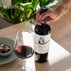 Cabernet Sauvignon Reserva 2017 - D.O. Aves del Sur, Chile - comprar online