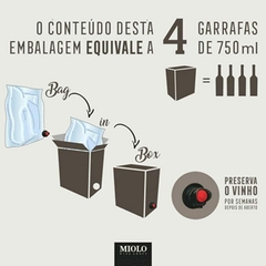 Cabernet Sauvignon & Merlot Bag in Box 3L - Miolo Seleção, Brasil - comprar online