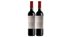 Duo Especial Argentino - Malbec e Cabernet (com 25% de desconto!)