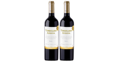 Malbec Cordillera Andina - Kit de 2 Garrafas (com 20% de desconto!)