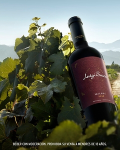 Malbec Luigi Bosca - Mendoza, Argentina - comprar online