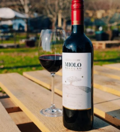 Cabernet Sauvignon & Merlot Seleção - Miolo, Rio Grande do Sul - comprar online