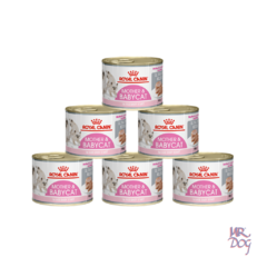 Royal Canin Mother & Babycat Lata x 195 Gr x 6 Un