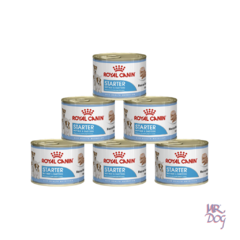 Royal Canin Starter Mother & Babydog Lata x 195 Gr x 6 Un