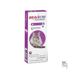 Bravecto Gato Pipeta 6,25 a 12,5 Kg