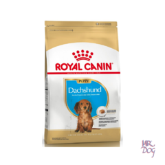 Royal Canin Dachshund Puppy x 1 Kg