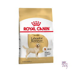 Royal Canin Labrador Adulto x 12 Kg