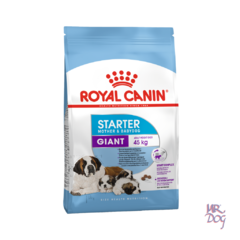 Royal Canin Starter Giant x 10 Kg