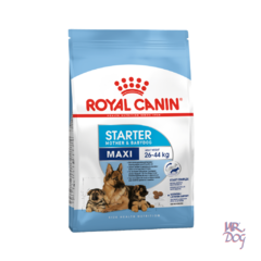 Royal Canin Starter Maxi x 10 Kg