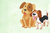 Painel retangular tema: CACHORRO E GATO - comprar online