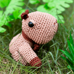 Capi Amigurumi