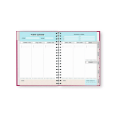 Planner Anual Dreams - Cartões Gigantes - comprar online