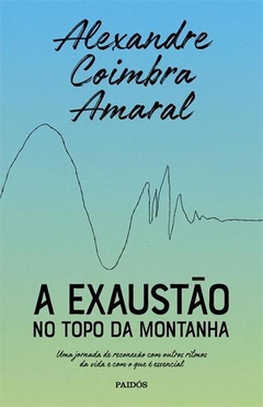 A exaustão no topo da montanha, de Alexandre Coimbra Amaral