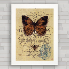 Quadro decorativo vintage  borboleta
