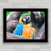Quadro decorativo papagaio tropical