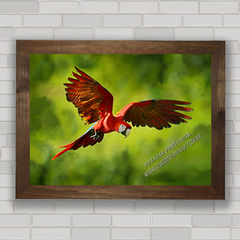 Quadro decorativo papagaio da Amazônia