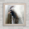 Quadro decorativo imagem de cavalo