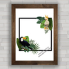 Quadro decorativo pássaros da Amazônia