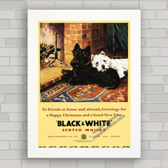 Quadro decorativo propaganda anúncio antigo whisky Black White .