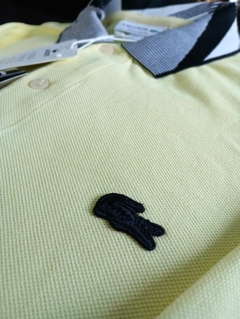 Imagen de Chombas "Lacoste"