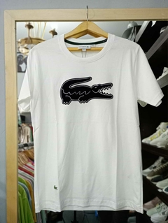 Remeras "Lacoste" - Jean Paul Shop