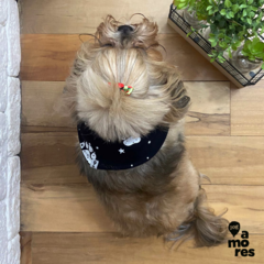 Bandana Pet Pegada Estelar - Dois Amores Baby & Pet