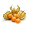 Physalis Fresco - 100g