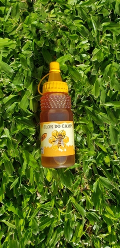 Mel Flor do Campo - 250g - comprar online