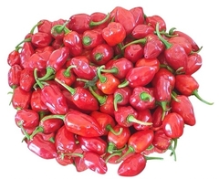 Pimenta Mexicana (bandeja)