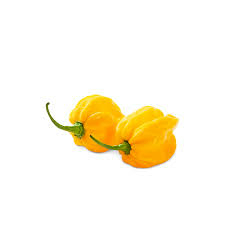 Pimenta Habanero Amarela (bandeja)