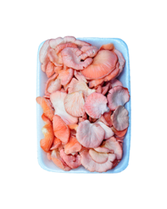 Cogumelo Shimeji Salmão Fresco - 200g