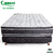 Sommier Cannon Renovation Euro Pillow NEW !!! - comprar online