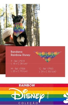 Bandana rainbow disney - Fábrica Pet - Hello Patas