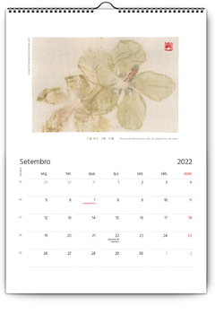 Calendário Gravuras 2022 (IMPRESSO) - buy online