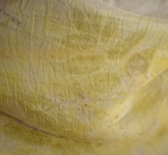 Echarpe de seda folha de cinamomo e capim roxo tingimento natural Fernanda Mascarenhas