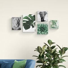 Conjunto de placas natureza com elefante, leão, costela de adão, suculenta e palmeira