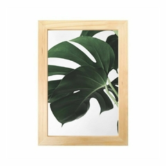 Placa decorativa Costela de Adão fundo branco - comprar online