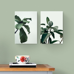 Composição de duas placas de MDF em parede. Close fotográfico das plantas ficus elástica e ficus lyrata