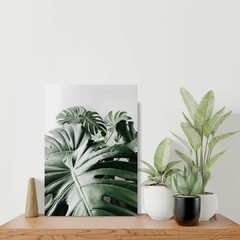 Placa sobre prateleira com fotografia da planta monstera deliciosa em fundo cinza no formato retangular